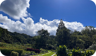 出張！武田薬品・京都薬用植物園　～五感で楽しむ薬用植物と生薬～